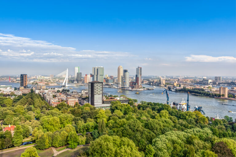Hikes and walks in Rotterdam: 12 places for the perfect nature escape