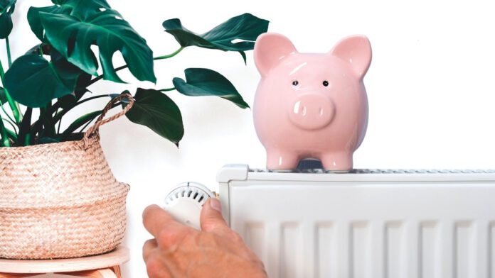 photo-of-a-pig-shaped-money-jar-on-a-heater-with-some-plants