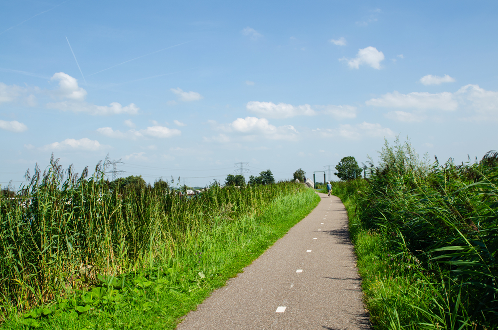 scenic-bike-lane-netherlands
