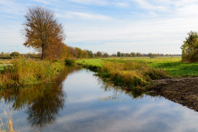 scenic-view-of-trees-being-reflected-in-the-surface-of-a-river-in-groninge-things-to-do-in-groningen