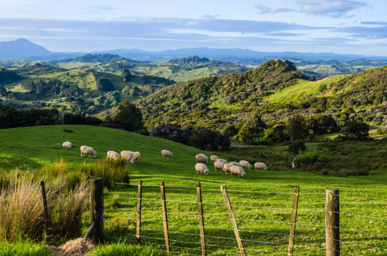 New Zealand’s namesake: how the Dutch named NZ