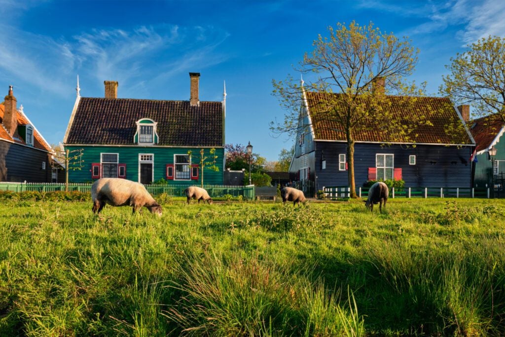 photo-of-houses-in-dutch-countryside