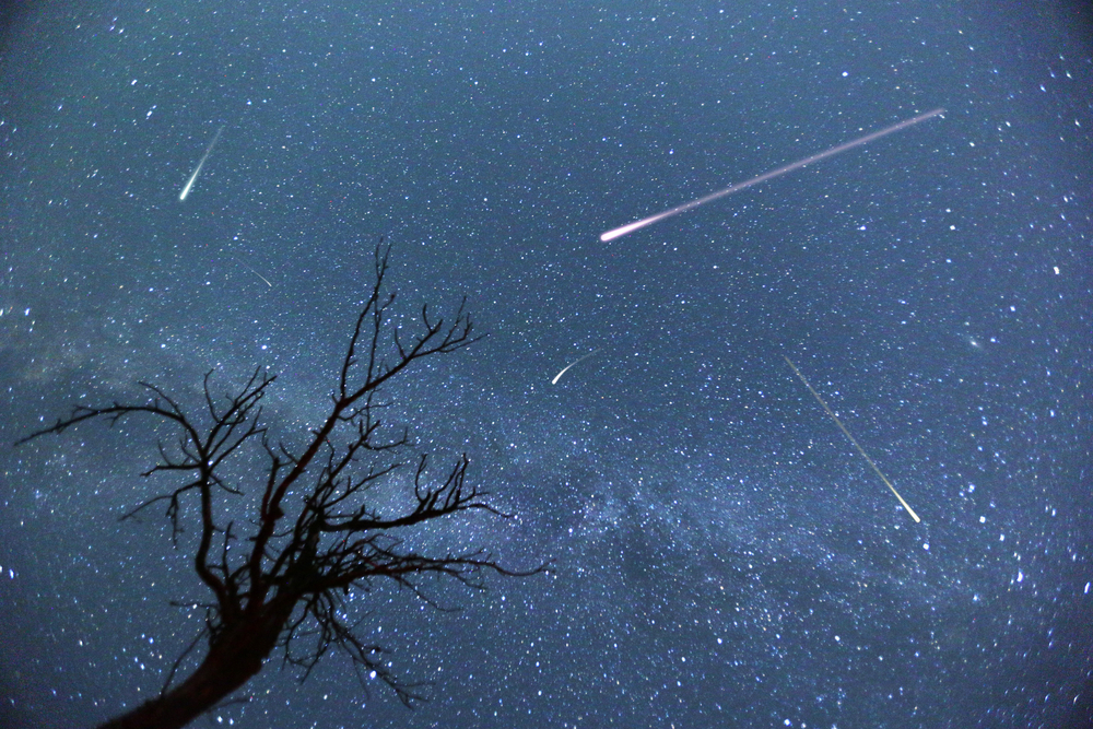 photo-of-starry-sky-with-silhouette-of-tree-in-the-foreground-with-shooting-stars-across-the-dky