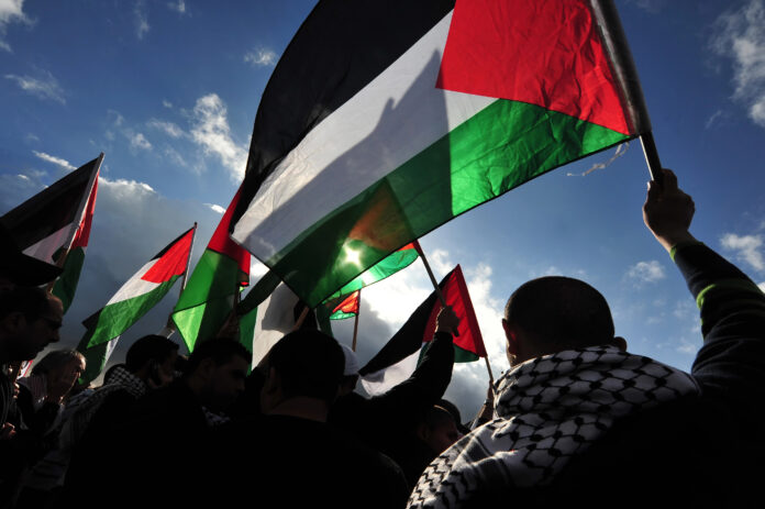 silhouttes-of-people-holding-palestine-flags-during-protest-in-amsterdam