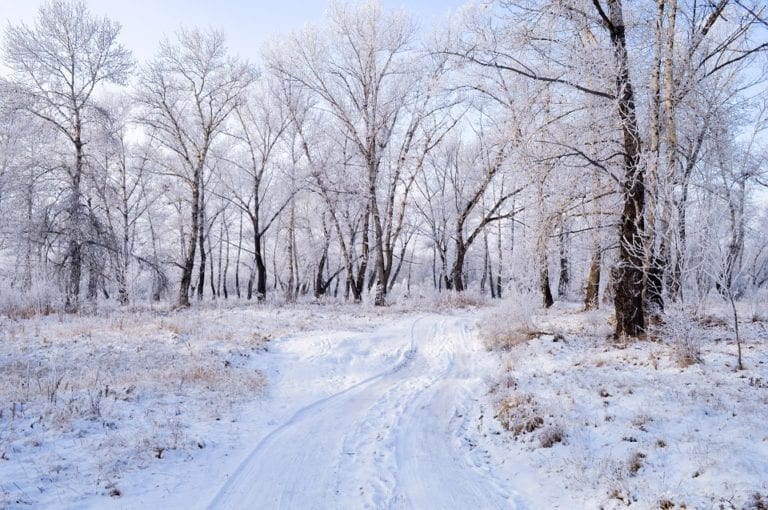 There is basically no chance of a white Christmas this year in the Netherlands