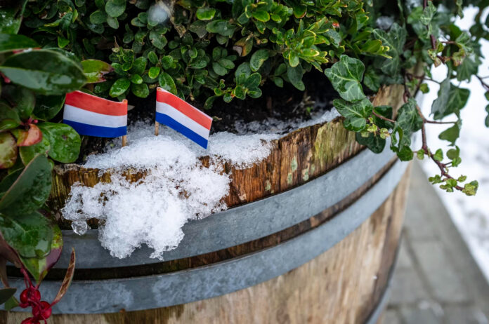 Dutch flags on a snowy plant pot