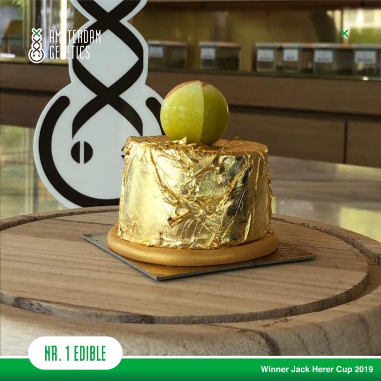 Everything you need to know about edibles in Amsterdam in 2021