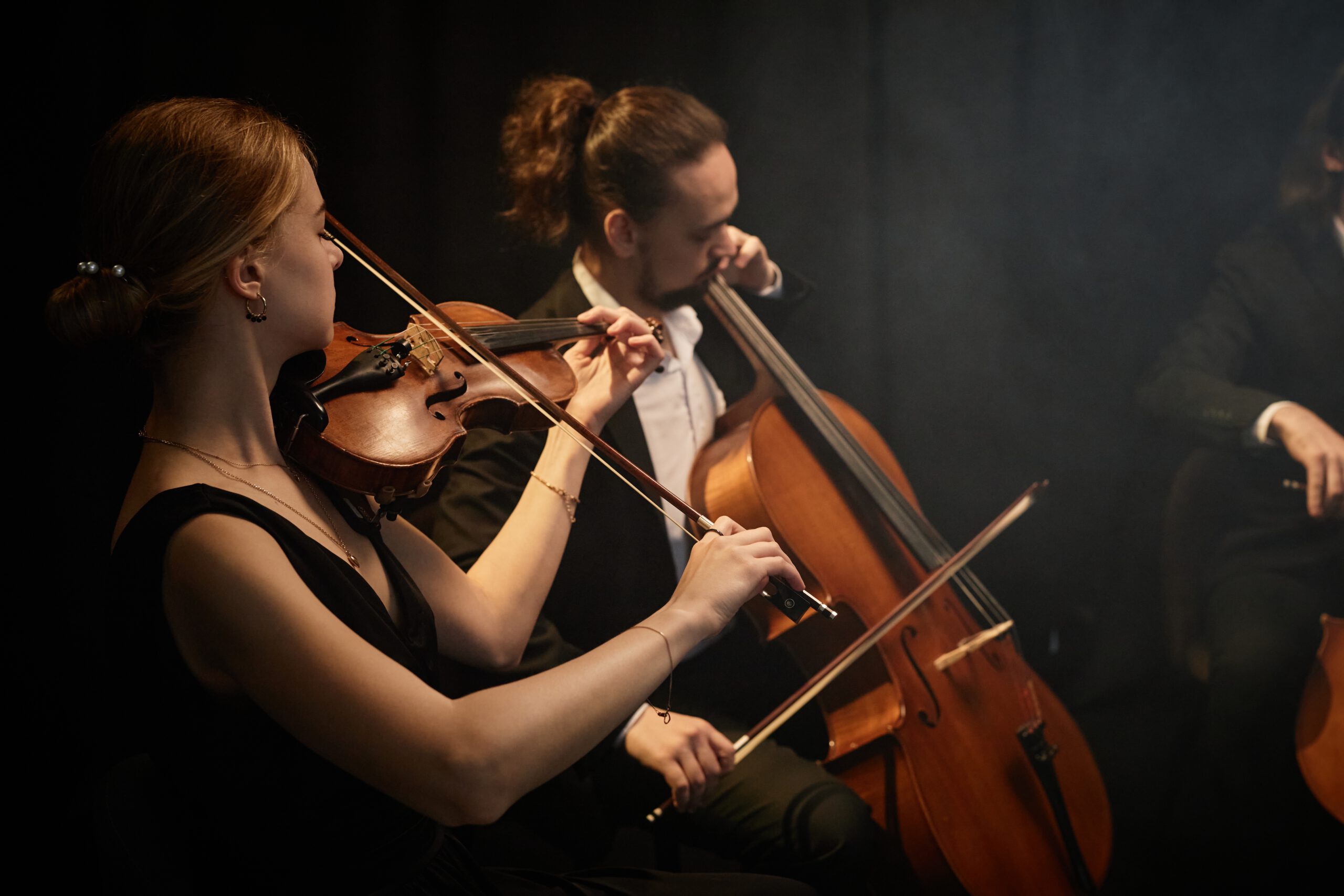 string-ensemble-playing-classical-music-in-the-netherlands-orchestra