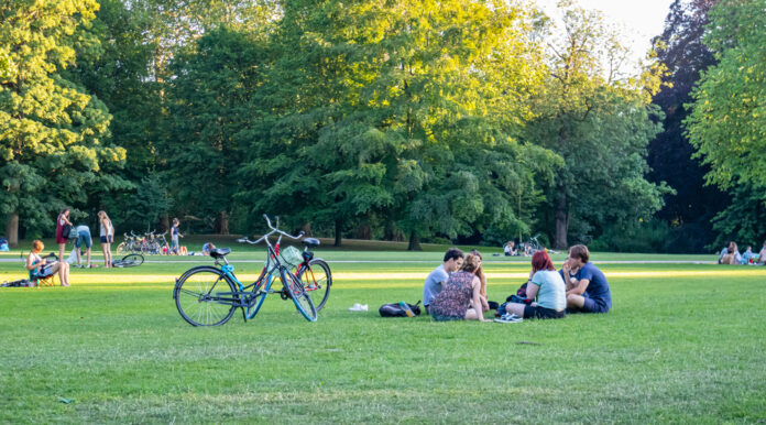 photo-young-people-picnicking-park-rotterdam