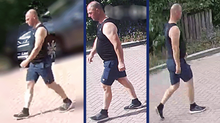 Do you recognise this man? Police share images of suspect following serious sexual assault in Utrecht woods