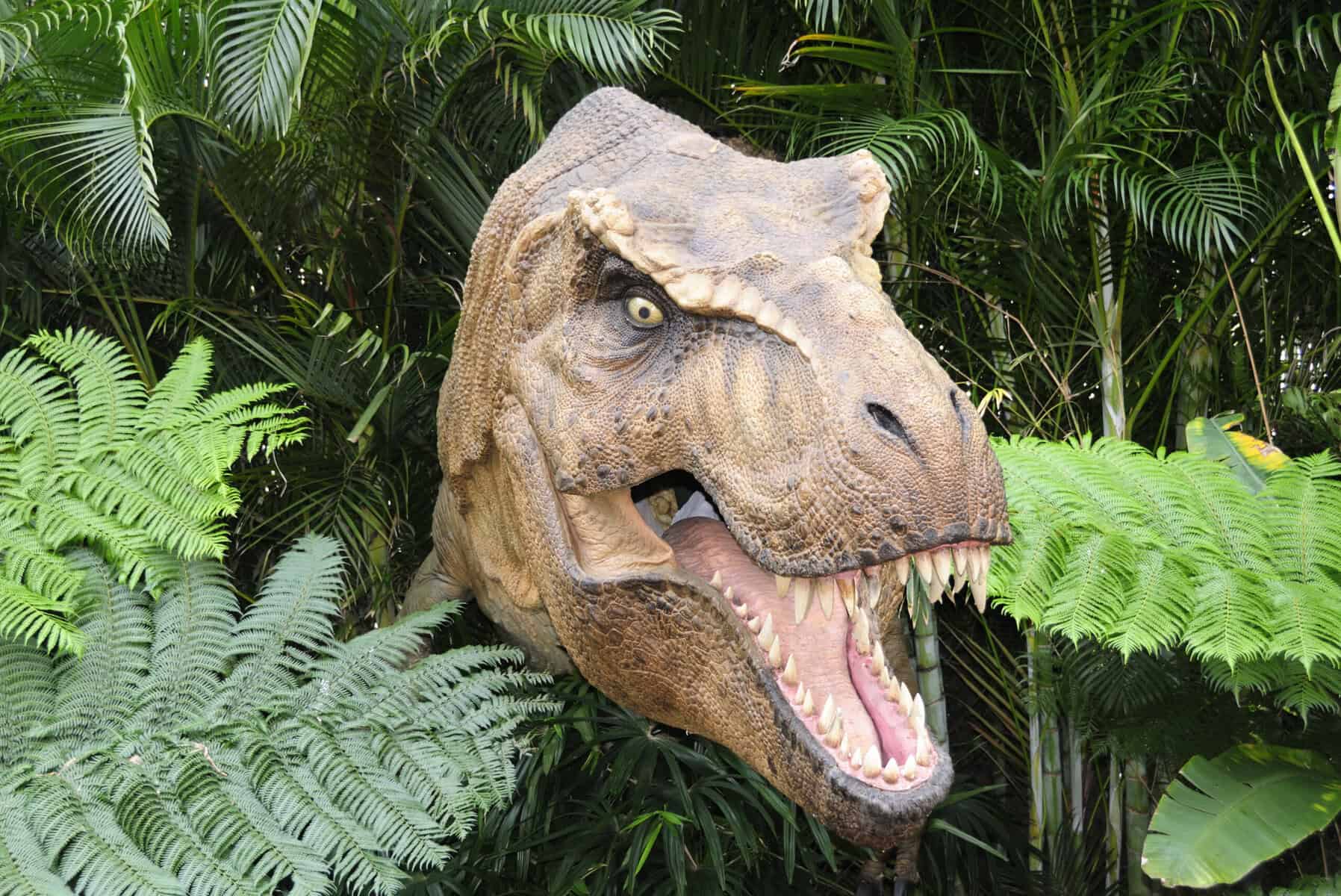 Jurassic Park, but make it fashion: Amsterdam unveils designer bag made from “T. rex leather”