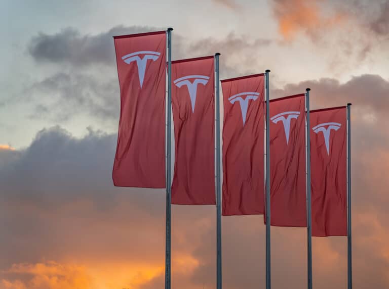 ‘No to Nazis’: Activists vandalise Tesla showroom in The Hague