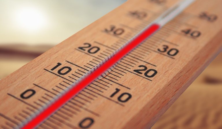 Forty Degrees?! Netherlands Facing Record-Breaking Temperatures This Week