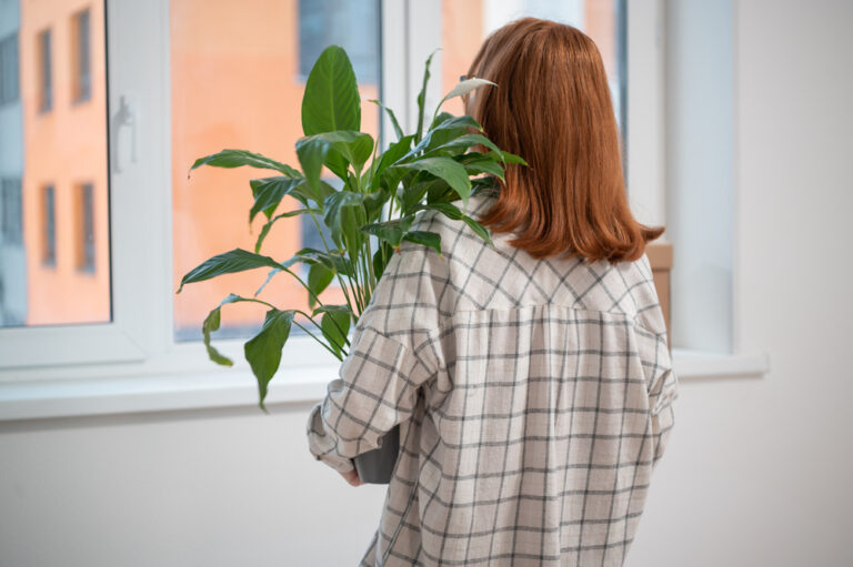 woman-holding-plant-empty-just-moved-in-empty-home