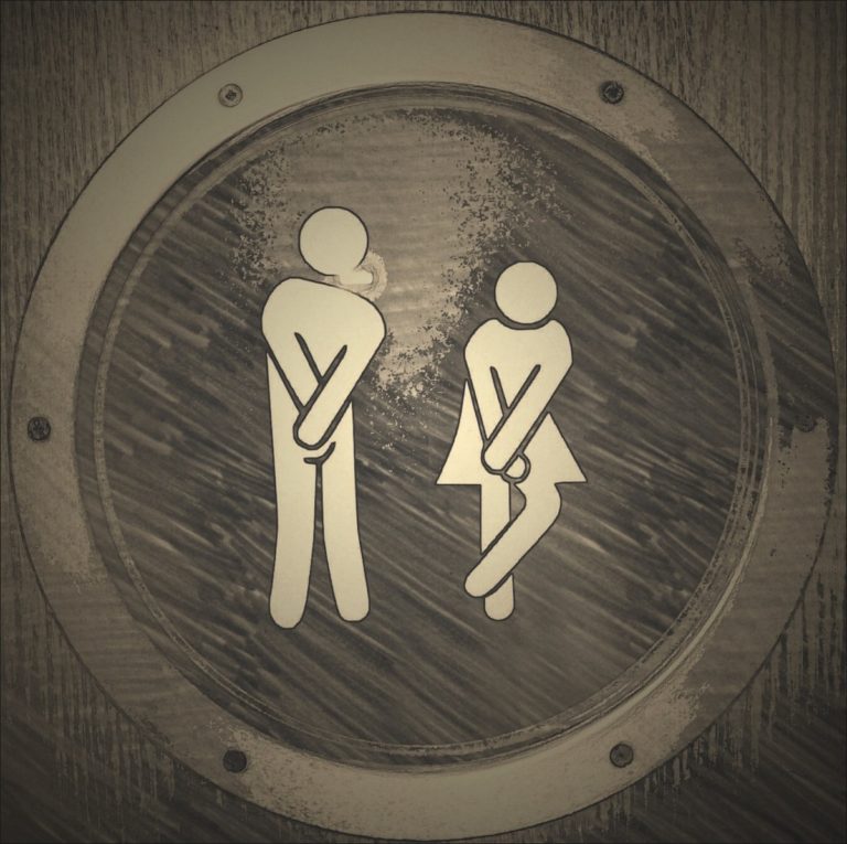 Can the Netherlands be more toilet-friendly?