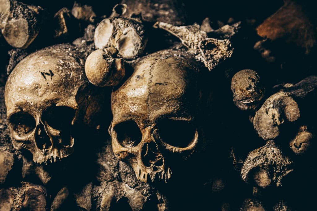 top-view-closeup-various-skeletons-catacombs-paris-scaled