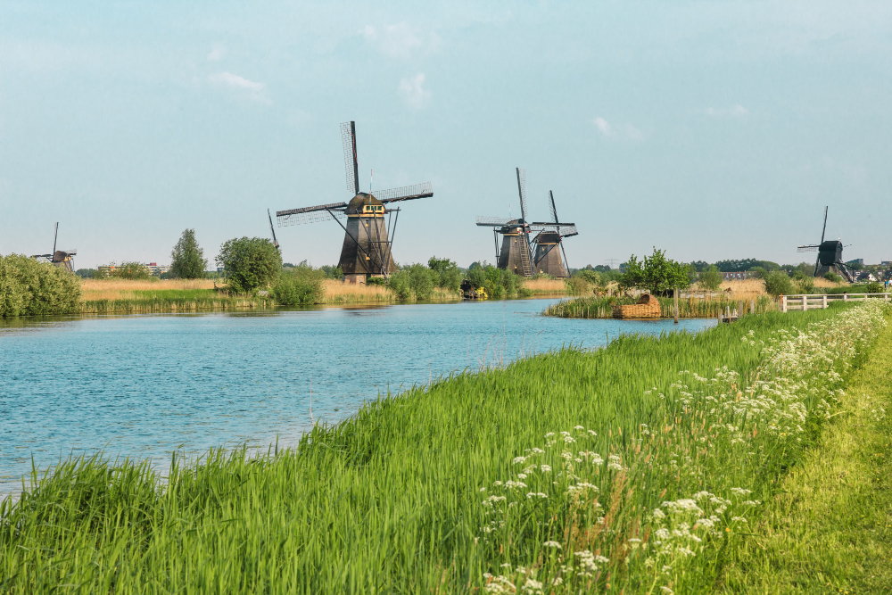 traditional-ditch-windmills-by-water-and-flowers