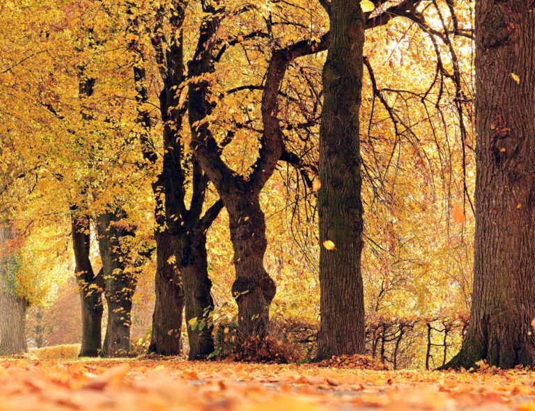 Warmest October 21 temperatures since 1977