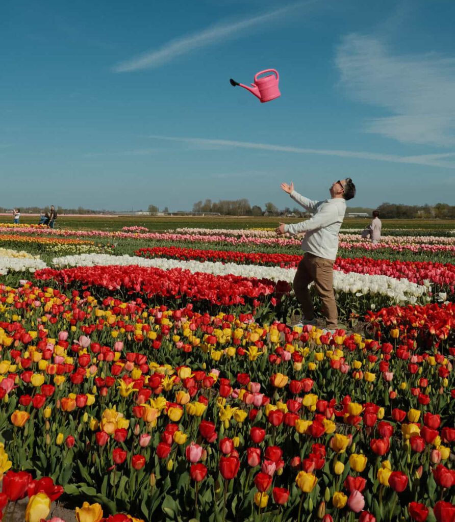 experiência-tulipa-homem-no-campo