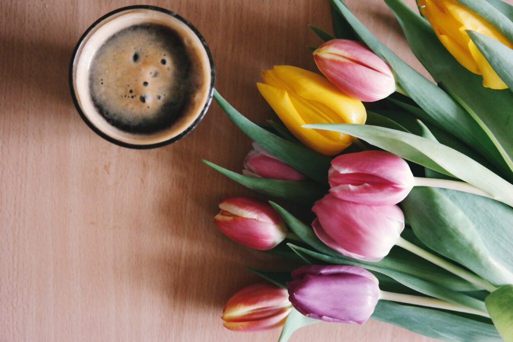 tulips-lying-on-table-with-coffee-next-to-it-netherlands