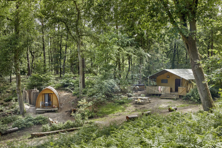 tent_in_woods_in_unique_place_to_stay_in_the_netherlands