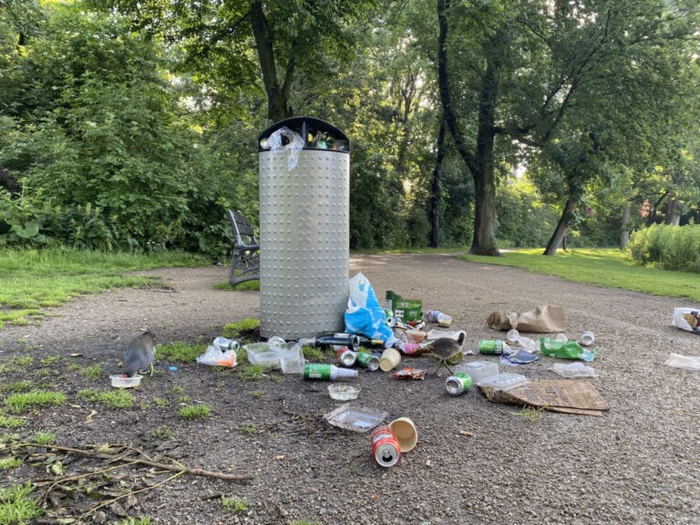 Dutch nature reserves under threat as crowds grow