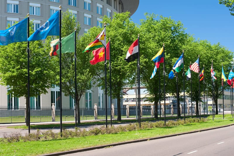 various-national-flags-fluttering-in-the-wind-outside-johan-de-wittlaan-in-the-hague-nato-summit