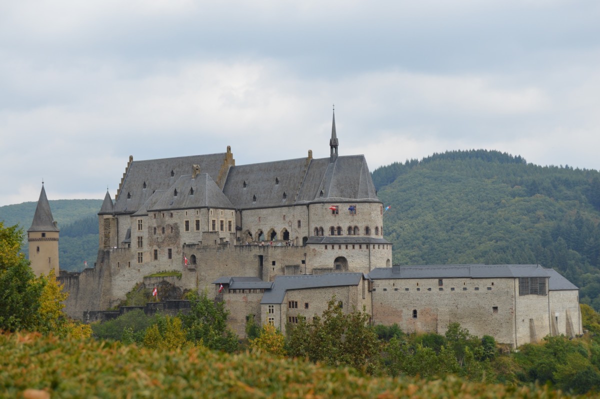 Photo-of-Vianden-Castle-in-Luxembourg-surrounded-by-forest