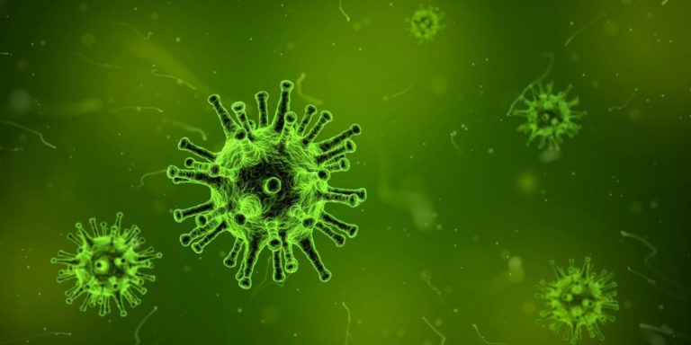 Monitoring stations for flu are being used to detect coronavirus in the Netherlands