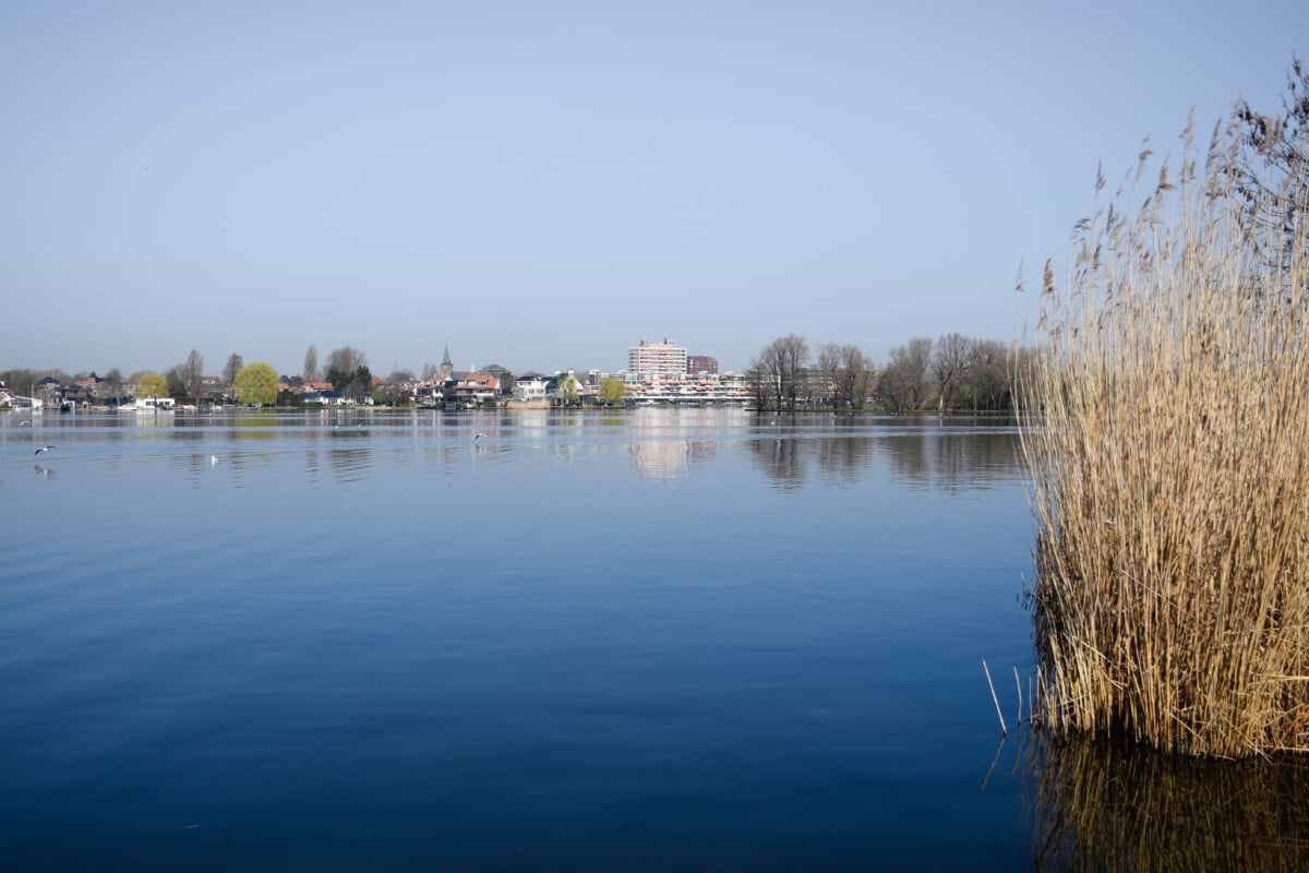 photo-of-the-lake-views-on-a-walk-through-prinsemolen-park