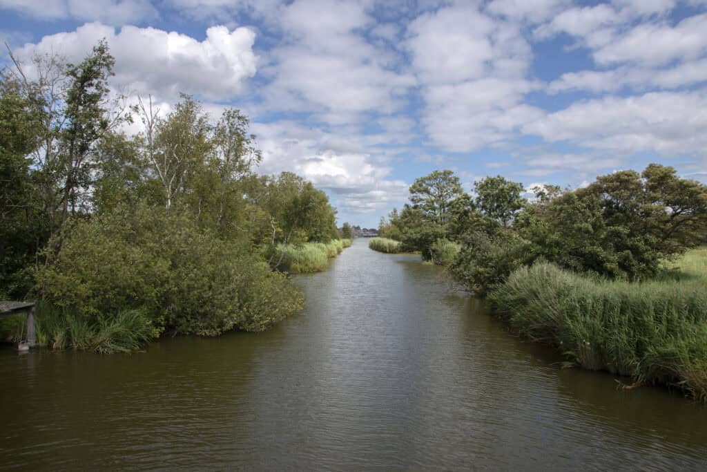 body-of-water-amongst-greenery-Amsterdamse-Bos-Amsterdam-Amstelveen