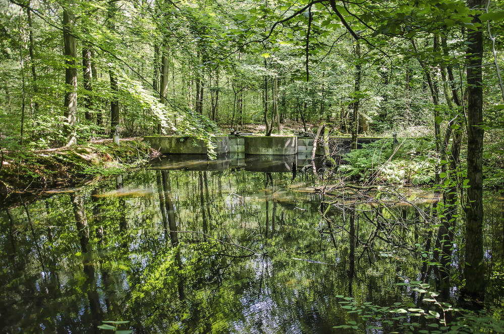 reflective-pool-surrounded-by-old-experimental-installations-hydraulic-laboratory-forest-waterloopbos-netherlands