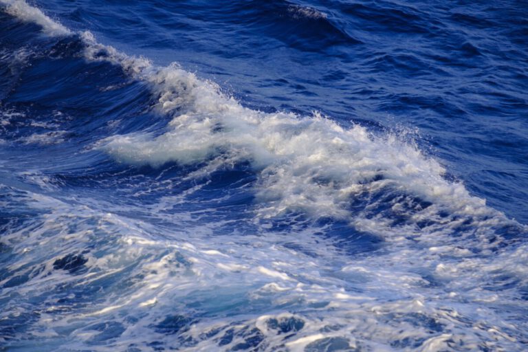 Body found in North Sea could be missing 14-year-old girl, police say