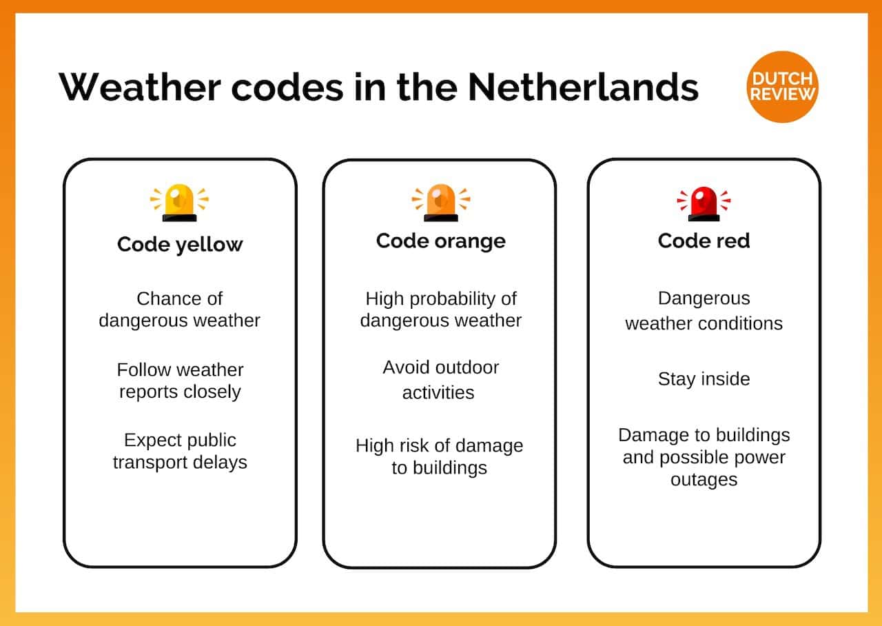 What’s the weather in the Netherlands like? The 2026 guide