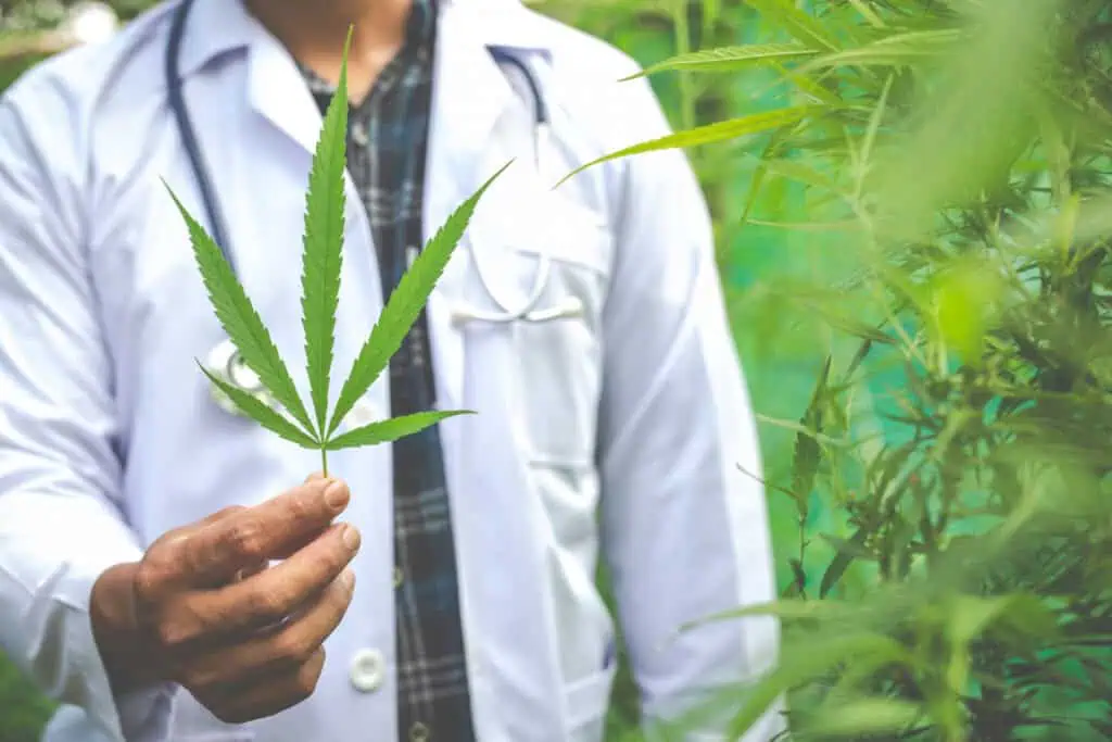 photo-of-man-in-lab-coat-holding-marijuana-leaf-with-green-marijuana-plants-in-background