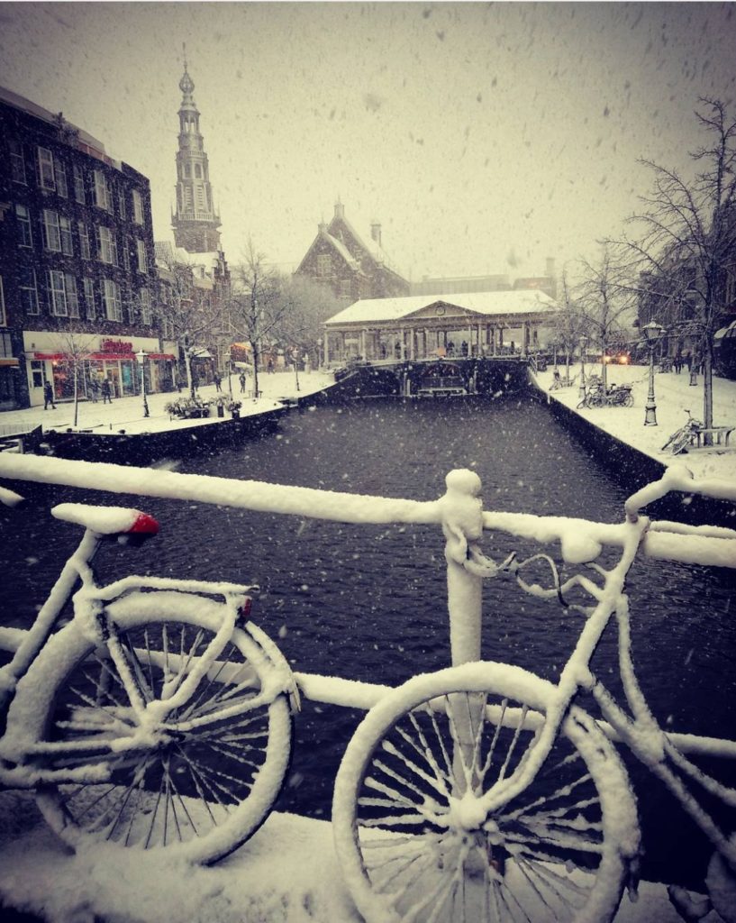 It is Snowing in the Netherlands (an update and pretty pics!) DutchReview