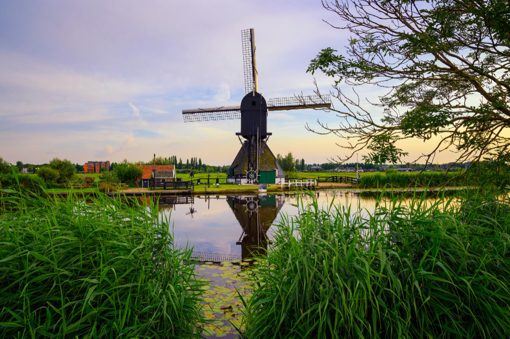 Photo-of-Dutch-countryside-as-more-people-move-their-in-2022