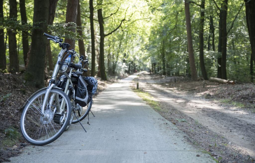 photo-of-white-bikes-parked-in-veluwe-national-park