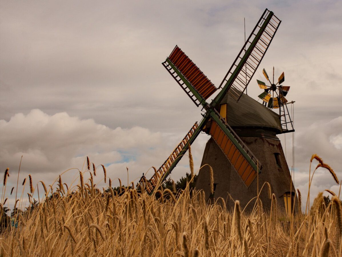A-windmill-in-a-Dutch-wheat-field