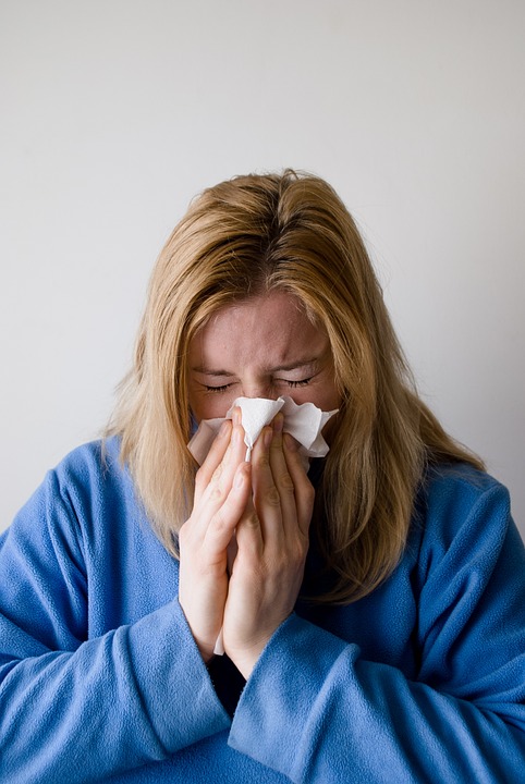 A flu epidemic is spreading in the Netherlands