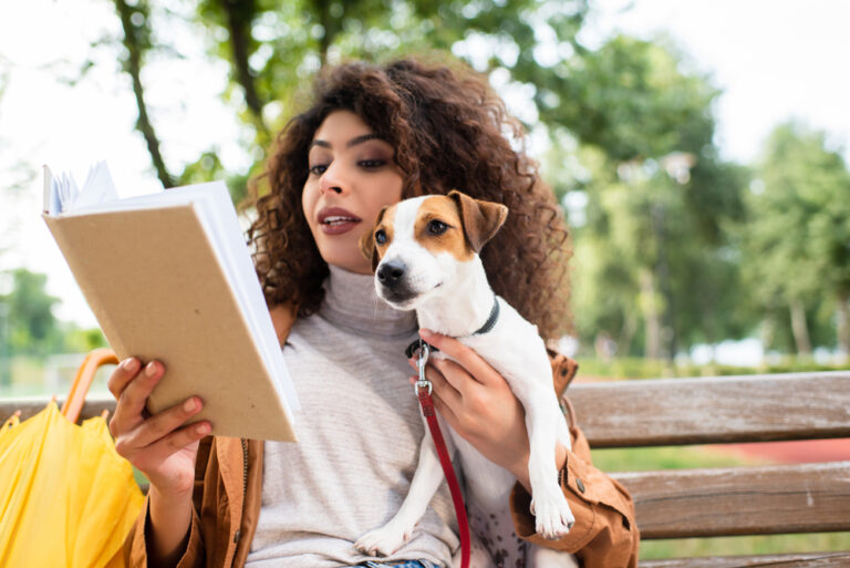 11 hacks to learn Dutch at turbo speed