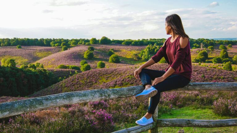 9 things to do in the Netherlands this September