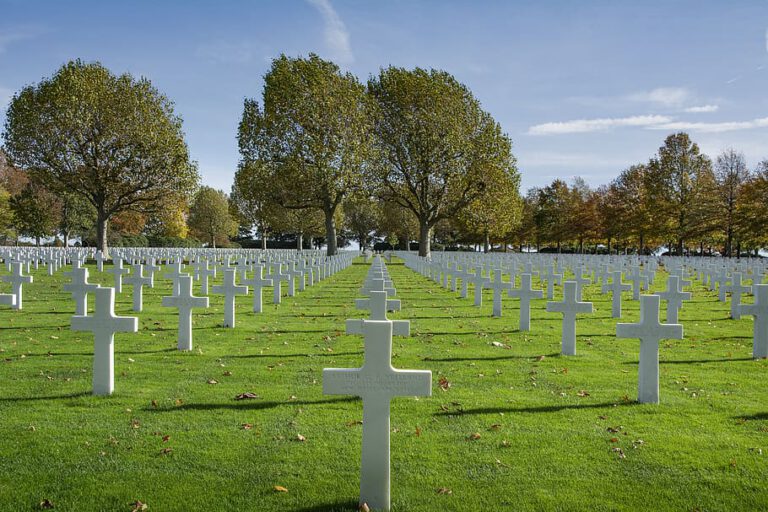 Call to donate flowers for Remembrance Day