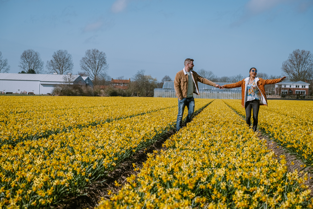 couple-holding-hands-in-yellow-tulip-fields-netherlands